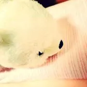ずーちゃん、