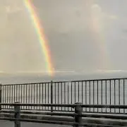 たたた★
