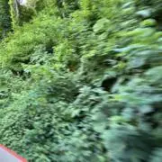 いいいの画像