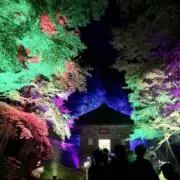 翠ちゃまの画像