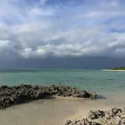 ヤッホー