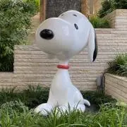 ykの画像