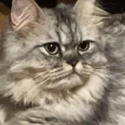 Reitoの画像