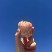 mの画像