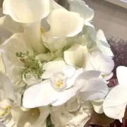 necoの画像
