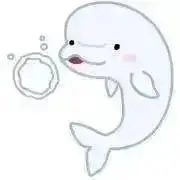 しろイルカ✩︎⡱の画像