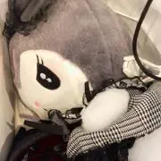 みの画像