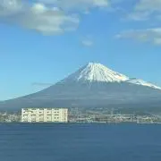 にゃんまかの画像
