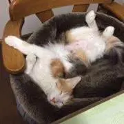 ブランド専門店【結屋】の画像