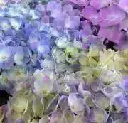 ☻-☻の画像