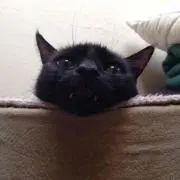 あっちゃん♡の画像