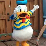 ちーちゃんの画像