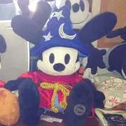 クロボシ