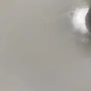 ろい