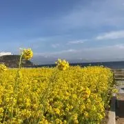 うーいの画像