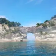コブタ