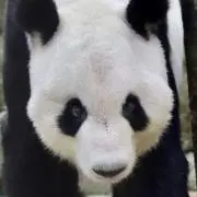 ke-----nの画像