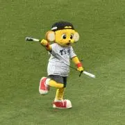 ☆ちゃむ☆