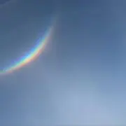 もちの画像