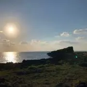 しんのすけ
