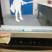 ポンデミニの画像
