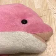 takarinの画像