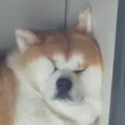 suchanの画像