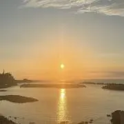 모の画像