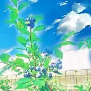 izanamiの画像