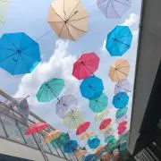 ぱる
