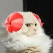 太郎