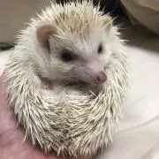 プロフ必読‼️m.jinyouの画像