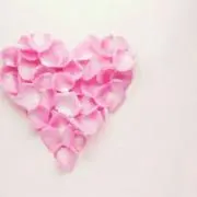 moco♡