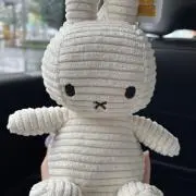 ごんごんの画像