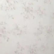 sugarsutonの画像