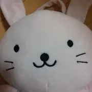 gorogorokittyの画像