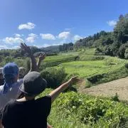 青空ひまわり農園