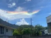ゆか