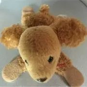 risukumaの画像
