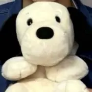 そらの画像