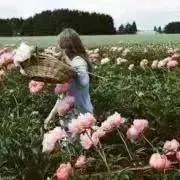 iiiiの画像
