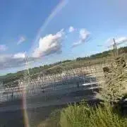 macochiの画像