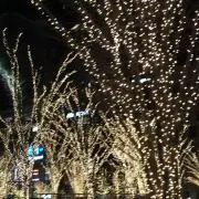 つかさ
