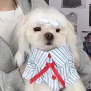 年華♡の画像
