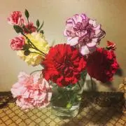Flowerの画像