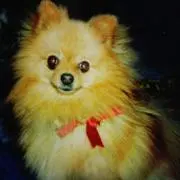 Chako