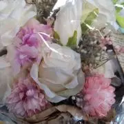 ももっこの画像