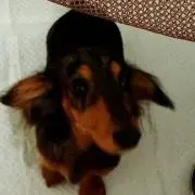 てる