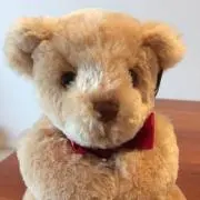 ロコモコの画像