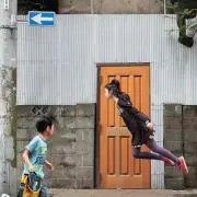 jimoraの画像